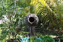 Bathala Island Sandies Bathala Maldives מראה חיצוני תמונה